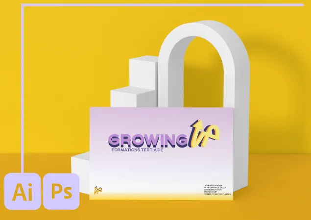 Projet de conception graphique : logo, branding et web design réalisé par Alexandre Thomassin